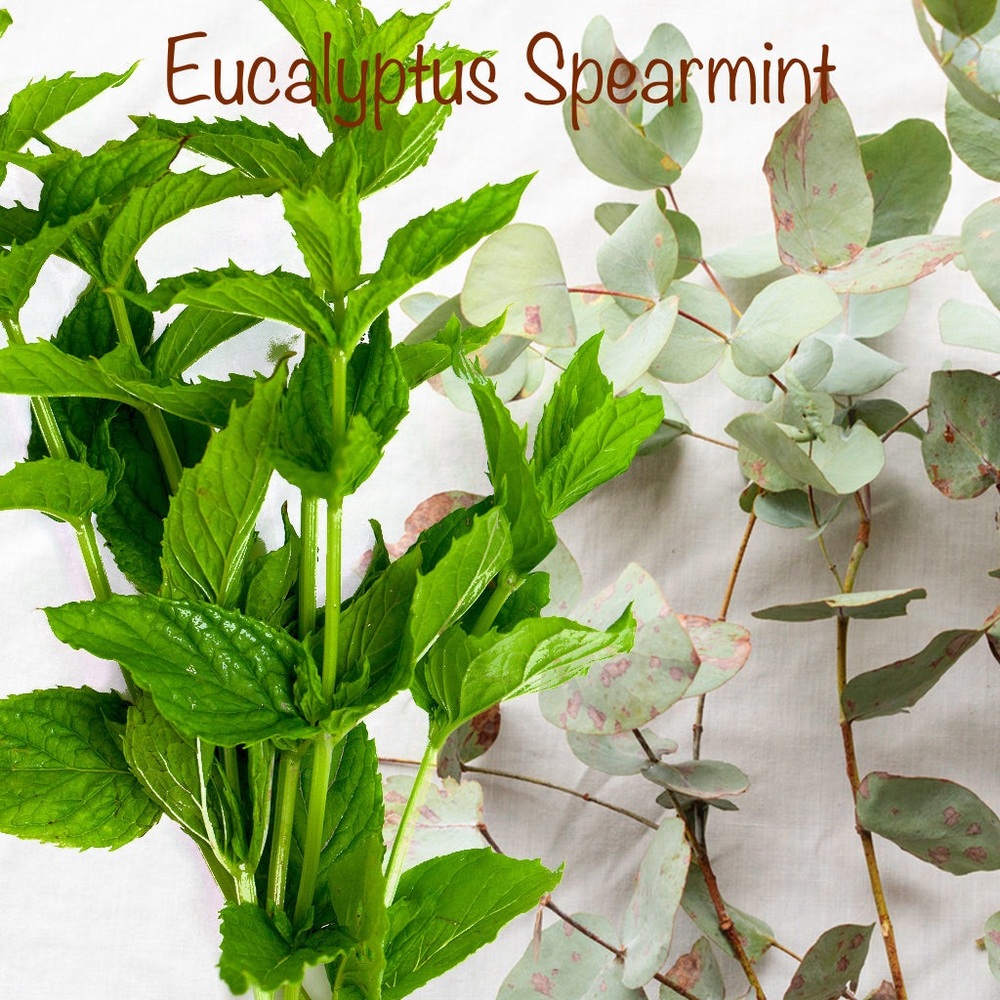 Eucalyptus Spearmint | Wooden Wick | Scented Candles - Picture 3 of 5